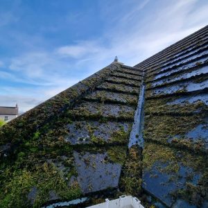 roof washing