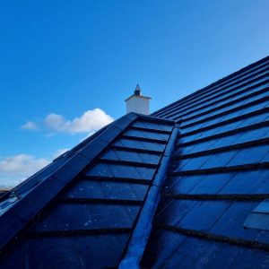 roof washing